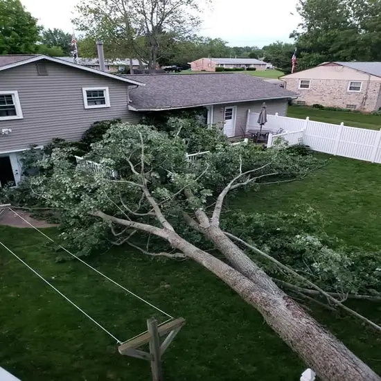 A lot during emergency tree service in Round Rock, TX