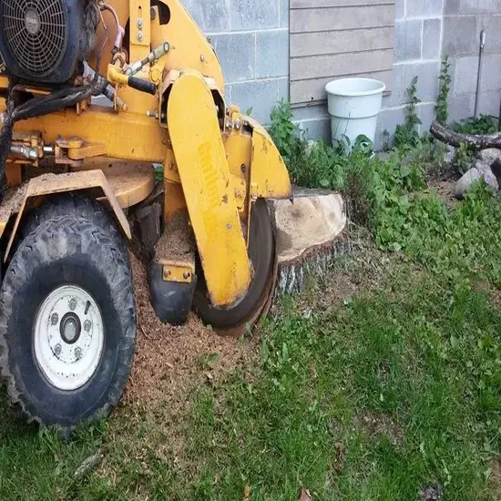 A stump during grinding in Cedar Park, TX
