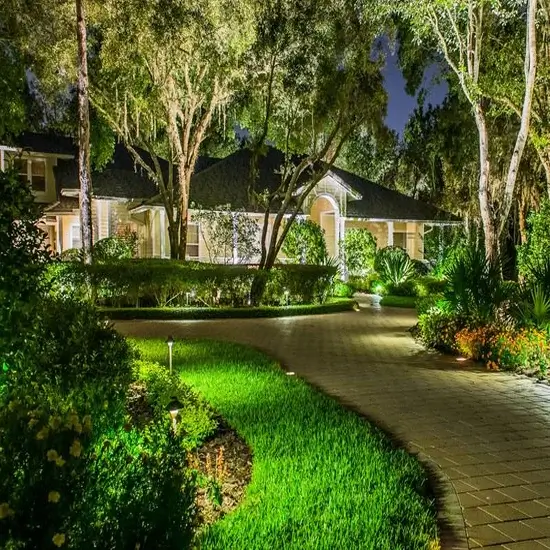 A house before tree health services in Cedar Park, TX