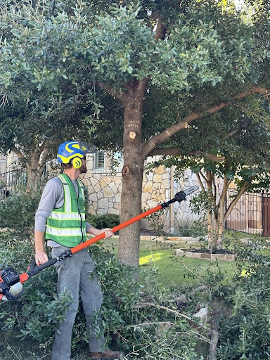 tree pruning austin tx