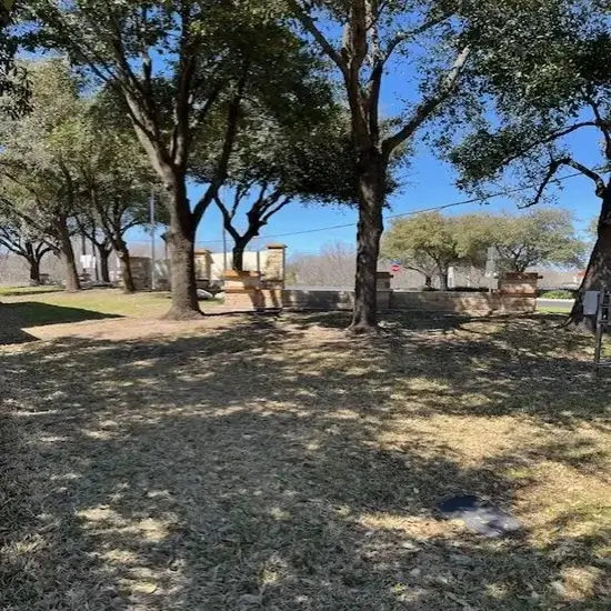 A lot before tree removal in Cedar Park, TX