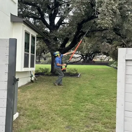 A tree pruning in Georgetown, TX