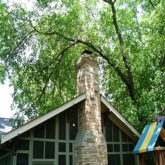 A house before tree trimming in Round Rock, TX